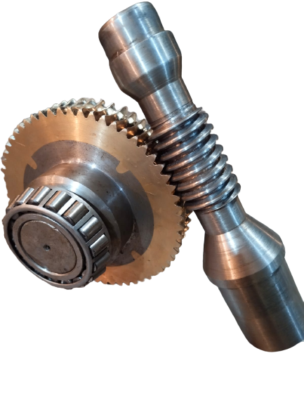 Worm-Gear-With-Shaft-at-Dalim-Engineering-Industries-1